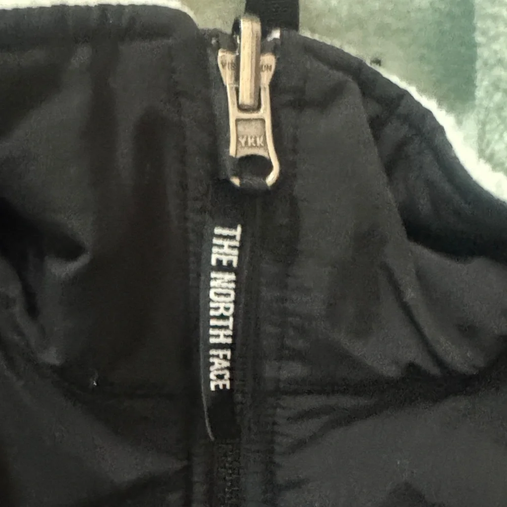 The North Face Mens 1995 Retro Green Mist Denali Jacket size large - Picture 3 of 12